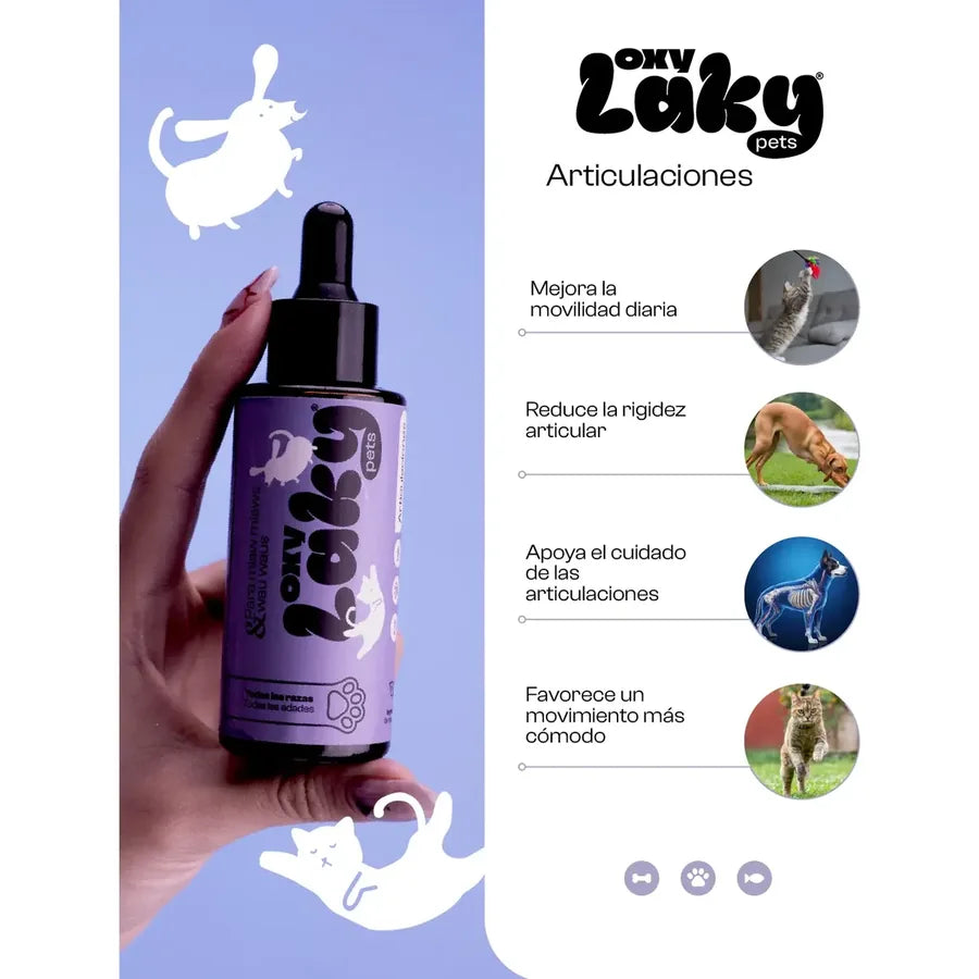 OXYLAKY Pets Articulaciones gotas homeopáticas para perros y gatos 50 mL - g01_mano_sq