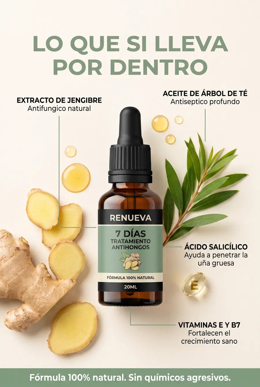 RENUEVA Aceite Antihongos - 04_ingredientes