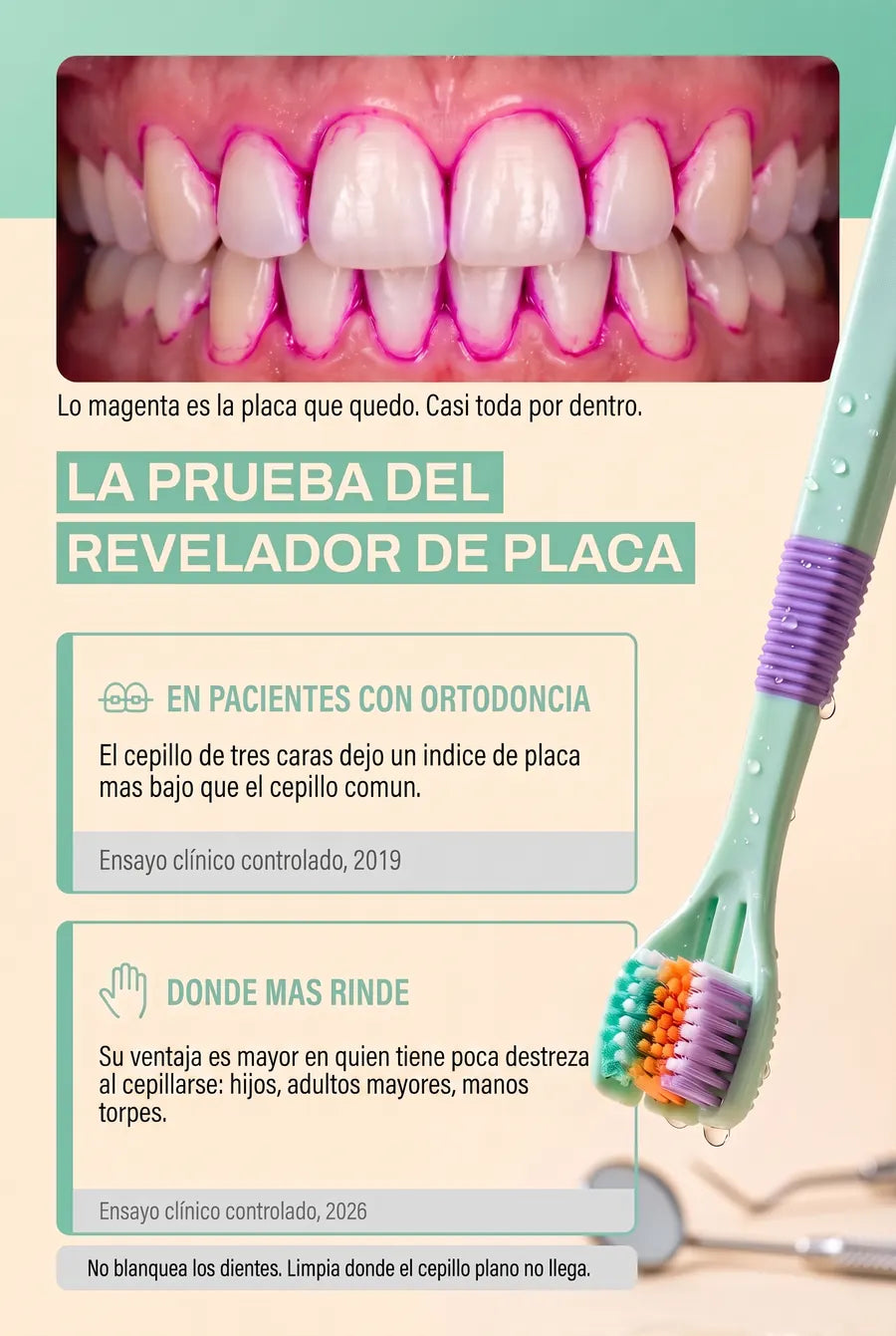 Cepillo Dental 3D - 05_prueba