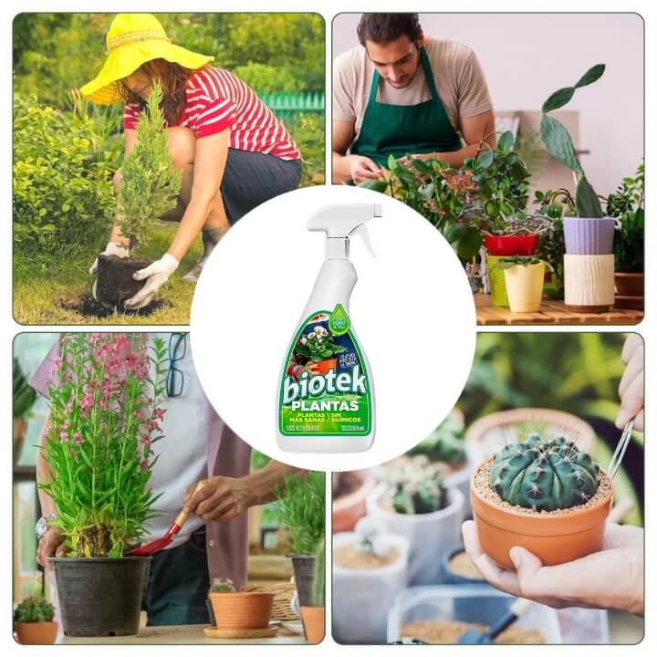 Plantas más verdes, fuertes y sin plagas – sin esfuerzo ni químicos