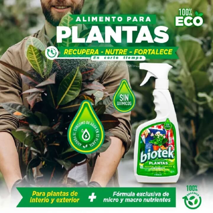 Plantas más verdes, fuertes y sin plagas – sin esfuerzo ni químicos