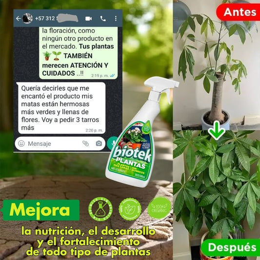 Plantas más verdes, fuertes y sin plagas – sin esfuerzo ni químicos